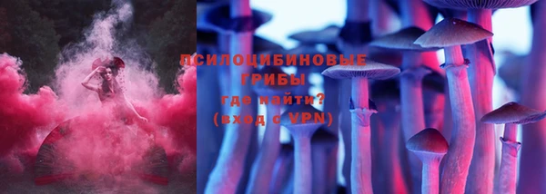 винт Алексин