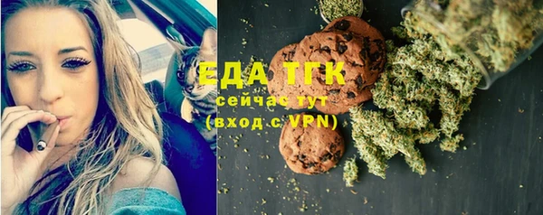 ECSTASY Алзамай