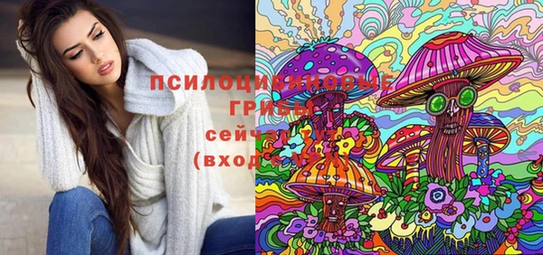 Альфа ПВП Аркадак