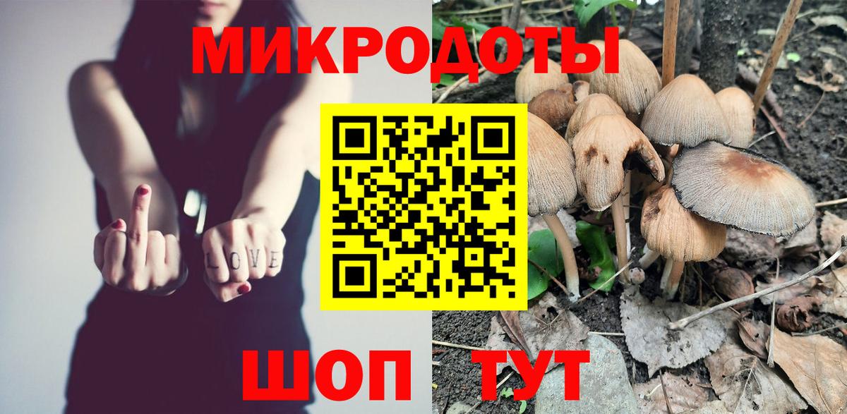 Псилоцибиновые грибы Psilocybine cubensis Пенза