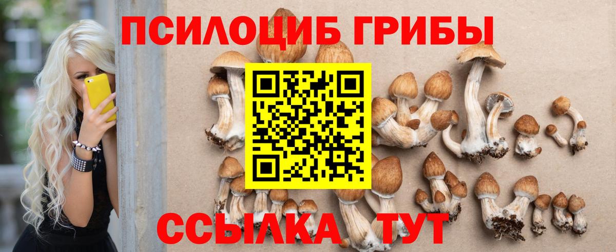 Пенза  Галлюциногенные грибы ЛСД  где купить наркоту  Псилоцибиновые грибы мицелий  Вход с VPN 
